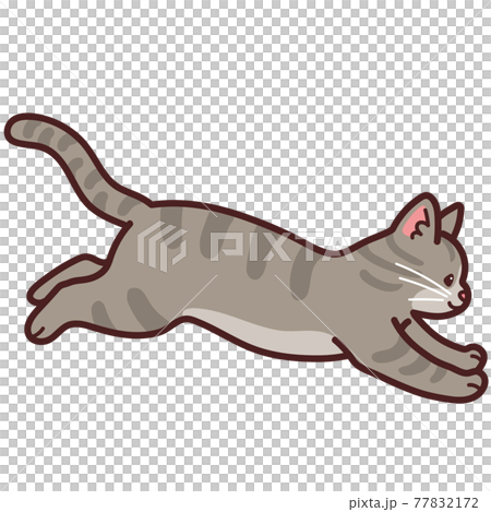 ジャンプするシンプルで可愛いサバトラ猫のイラスト　主線あり 77832172