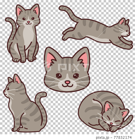 シンプルで可愛いサバトラ猫のイラストセット 主線あり シンプルで可愛いサバトラ猫のイラストセット 主線あり 77832174