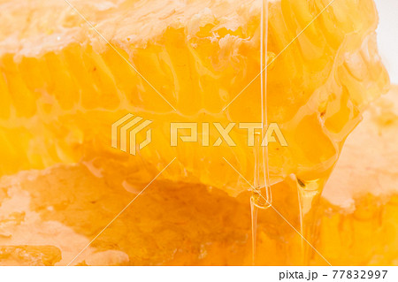 ハチミツ 巣蜜 ハチミツ 巣蜜 77832997