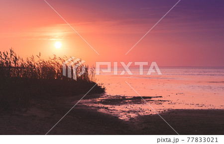 Bright sunset over a sea coast, summer evening 77833021
