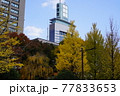 紅葉の中からそびえたつビル 77833653