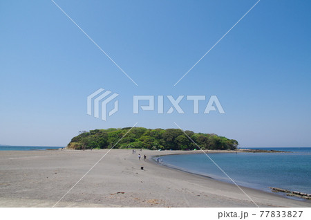 沖ノ島(千葉県館山市) 沖ノ島(千葉県館山市) 77833827