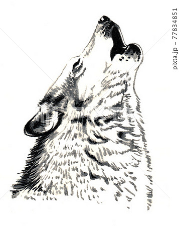 水彩画 狼の遠吠え モノクロのイラスト素材