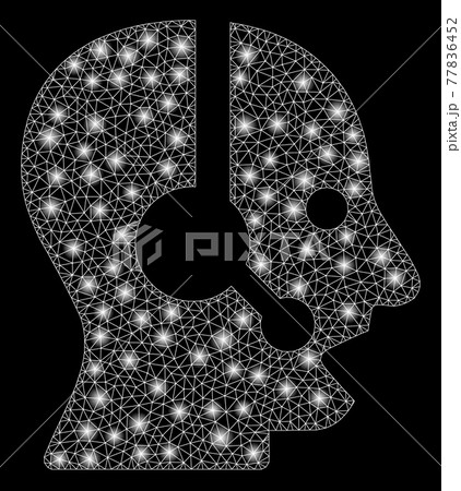 Flare Mesh Network Operator with Flare Spots 77836452