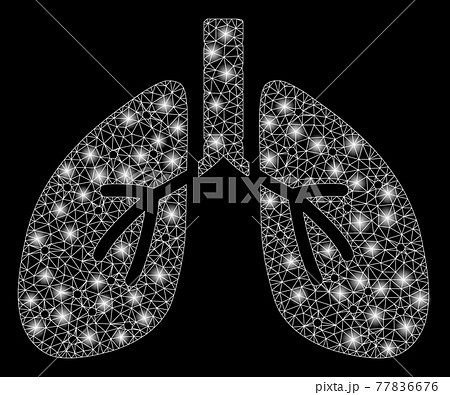 Flare Mesh Carcass Lungs with Flare Spots Flare Mesh Carcass Lungs with Flare Spots 77836676