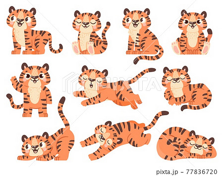 Cute baby tigers. Cartoon jungle animal for... - Stock Illustration  [77836720] - PIXTA