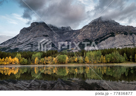 Rocky mountains with autumn pine forest and cloud blowing on Wedge Pond at Kananaskis country Rocky mountains with autumn pine forest and cloud blowing on Wedge Pond at Kananaskis country 77836877