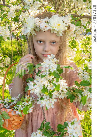 A girl sniffs a beautiful white apple tree, spring in the midst of the flowering of the apple tree is beautiful garden in hair, park people nature beauty tree, model blossom. blooming cute woman A girl sniffs a beautiful white apple tree, spring in the midst of the flowering of the apple tree is beautiful garden in hair, park people nature beauty tree, model blossom. blooming cute woman 77837329