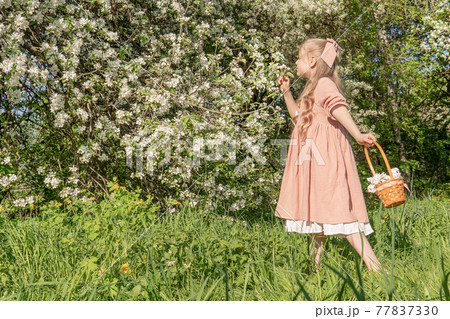 A girl sniffs a beautiful white apple tree, spring in the midst of the flowering of the apple tree is beautiful apple in hair, face green beautiful dress, attractive. Sunny blooming pink, cute woman A girl sniffs a beautiful white apple tree, spring in the midst of the flowering of the apple tree is beautiful apple in hair, face green beautiful dress, attractive. Sunny blooming pink, cute woman 77837330