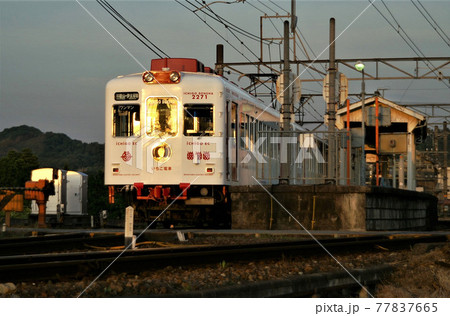 夕暮れ時のいちご電車 和歌山電鉄貴志川線 伊太祁曽駅　 77837665