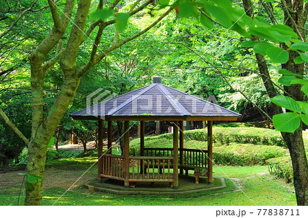 滋賀県甲賀市　鶏鳴の滝周辺の景色　東屋 77838711