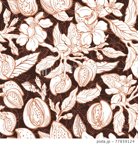 Almond garden. Vector nature seamless pattern. Almond garden. Vector nature seamless pattern. 77839124
