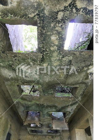 草木の生い茂る苔生す廃墟の天井の穴から射し込む日の光【ニュージーランド】 草木の生い茂る苔生す廃墟の天井の穴から射し込む日の光【ニュージーランド】 77839797