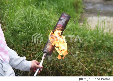 灯油式草焼きバーナーで雑草処理作業 灯油式草焼きバーナーで雑草処理作業 77839808