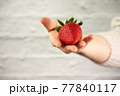 Ripe juicy red beautiful strawberry close-up is an appetizing fresh snack 77840117
