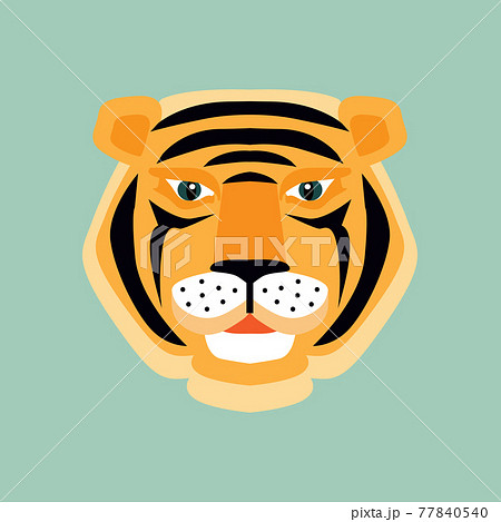 Tiger face 14 77840540