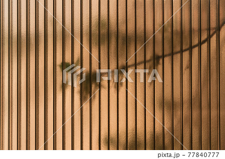leaves of living trees shine through a semi-dark polycarbonate sheet 77840777