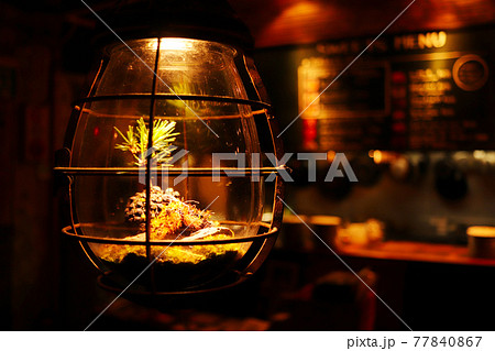 お洒落なハンギングテラリウムランプ カフェの風景の写真素材