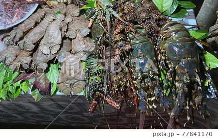 Seafood, including all kinds of lobsters, squid and others, are on the table at a restaurant in a resort town in Africa. Travel concept. Seafood, including all kinds of lobsters, squid and others, are on the table at a restaurant in a resort town in Africa. Travel concept. 77841170
