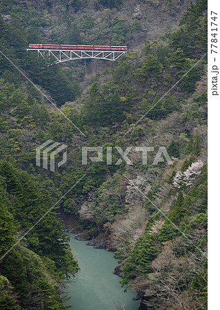 大井川鐵道沿線の旅 春の関の沢橋梁 大井川鐵道沿線の旅 春の関の沢橋梁 77841747