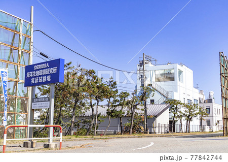 海洋生物環境研究所　実証試験場 77842744