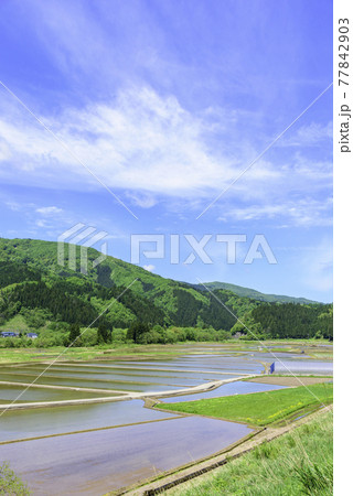 東北 山間の田植 東北 山間の田植 77842903