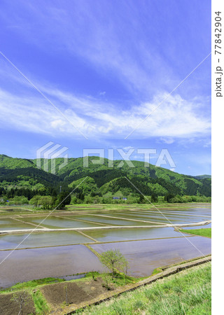 東北 山間の田植 東北 山間の田植 77842904