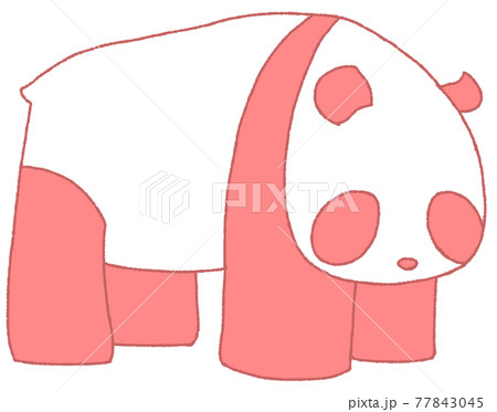 こちらを見るパンダ（赤色） 77843045