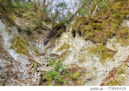 丹沢山地の道 雨山峠へ向かう仮設階段の難路 丹沢山地の道 雨山峠へ向かう仮設階段の難路 77843419