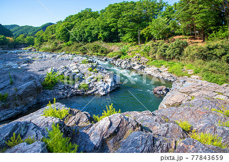 春　長瀞渓谷の景色　小滝の瀬付近　 77843659