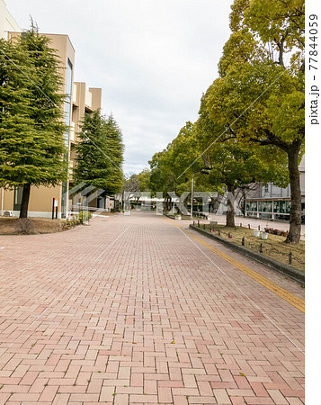 香川大学幸町キャンパス 香川大学幸町キャンパス 77844059