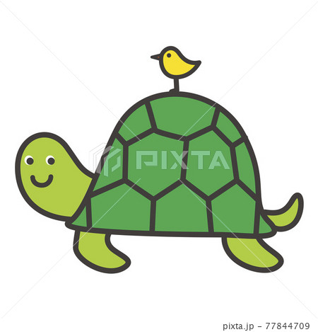 かめ のイラスト素材 [77844709] - PIXTA