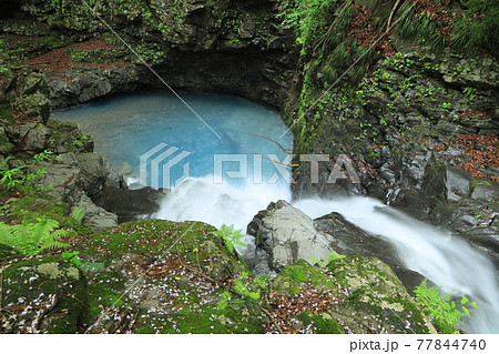 魚止めの滝 77844740