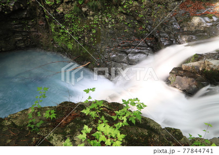 魚止めの滝 77844741