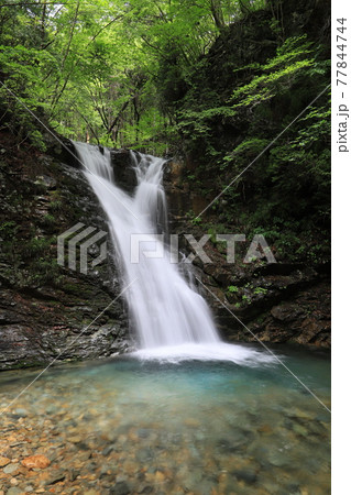 大戸谷の滝 77844744