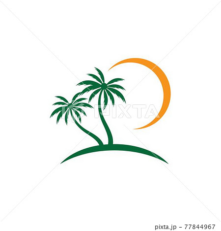 Palm tree summer logo template 77844967