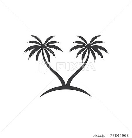 Palm tree summer logo template 77844968