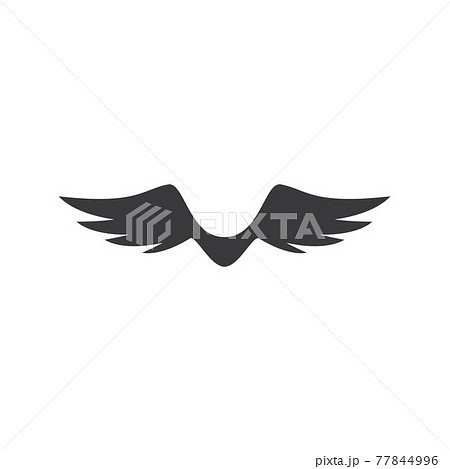 Wing logo symbol vector Wing logo symbol vector 77844996