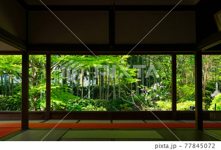 京都　宝泉院 77845072