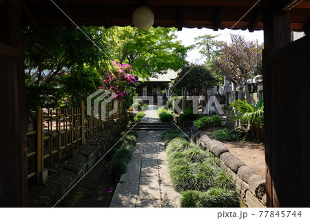 龍泉寺 77845744