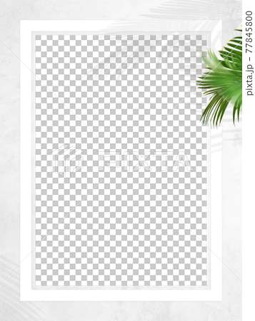 白い壁とヤシの葉で構成した爽やかな雰囲気のフレーム - 複数のバリエーションがあります 77845800