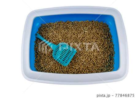 Cat's litter box with filler and scoop isolated on white background Cat's litter box with filler and scoop isolated on white background 77846875