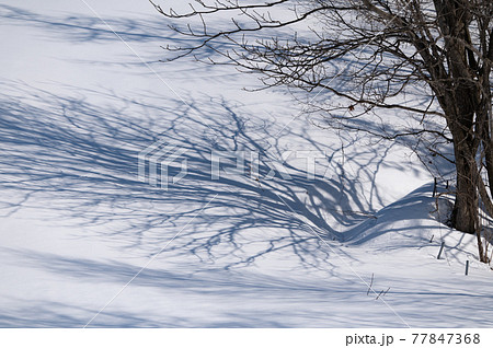 雪影アート 雪影アート 77847368