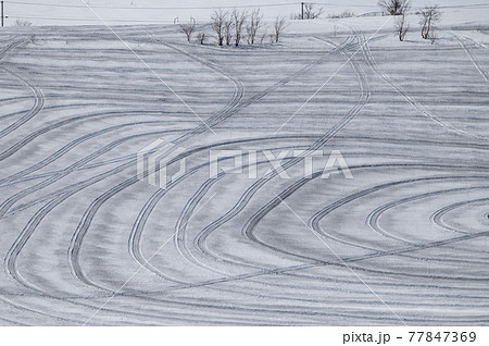 融雪剤模様のある美瑛の大地 融雪剤模様のある美瑛の大地 77847369