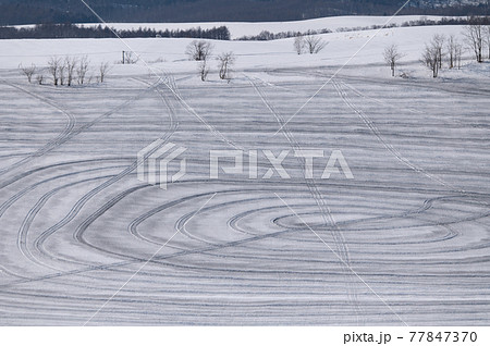 融雪剤模様のある美瑛の大地 77847370