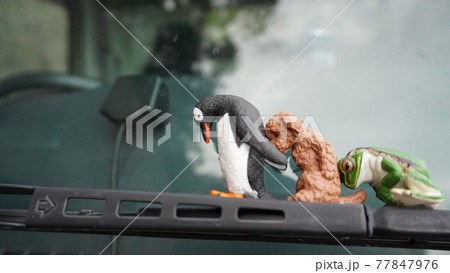 犬とペンギンとカエルのおじぎ 77847976