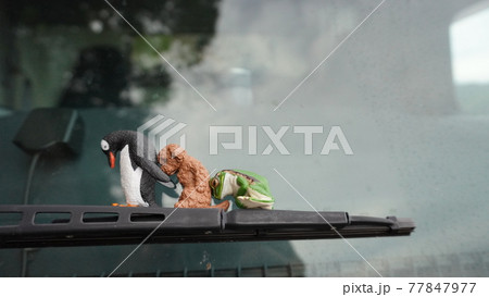 犬とペンギンとカエルのおじぎ 77847977