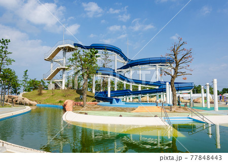 芦屋海浜公園 芦屋海浜公園 77848443