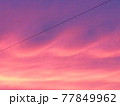 自然が作ったグラデーション 77849962