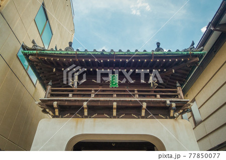 京都、善導寺の山門（竜宮門） 77850077